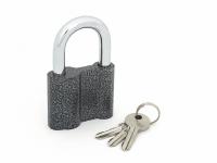Продажа замок навесной "palladium" 601s-60 (3 ключа) в Ижевске  в интернет-магазине Vseizdereva